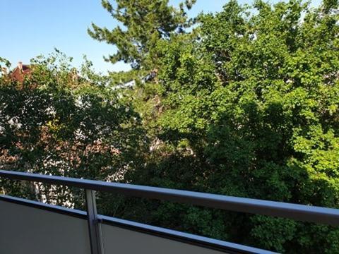 Appartement Foch A Кольмар Екстер'єр фото